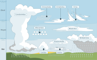 Types de nuages