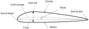 Schéma légendé d'un profil d'aile
